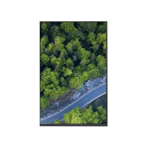 10.1寸京东方彩色液晶屏