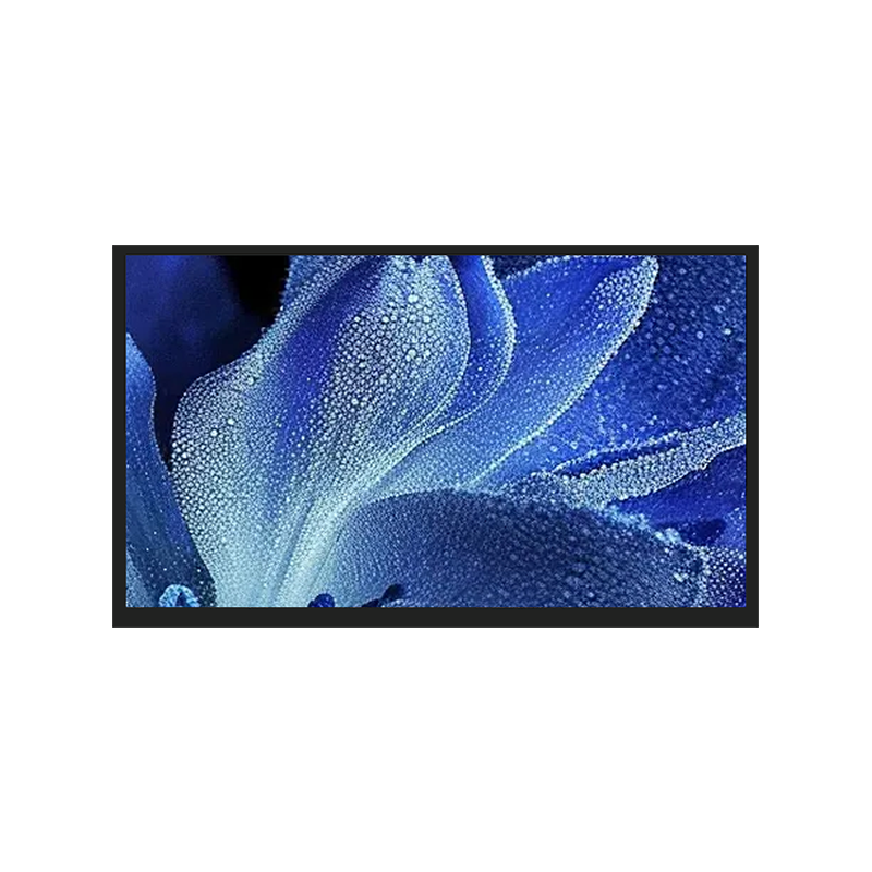 13.3寸京东方彩色液晶屏